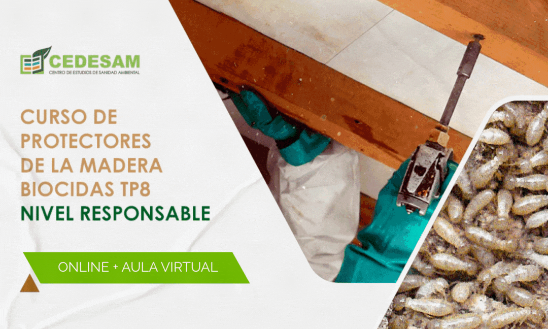 CURSOS DE MADERA