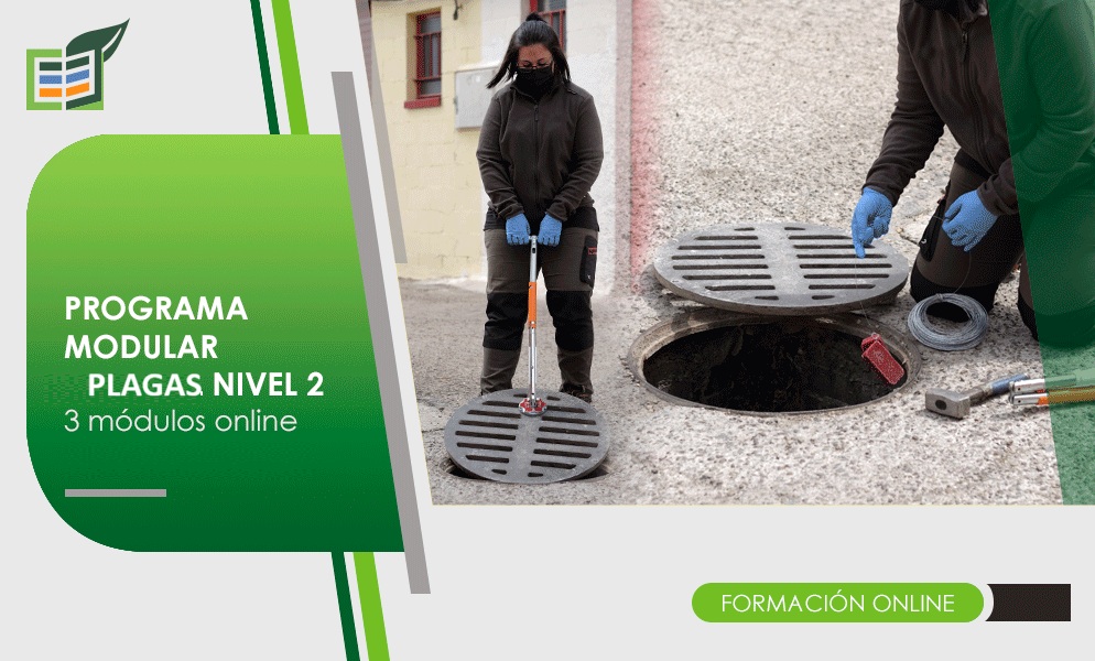 PROGRAMA DE VERANO