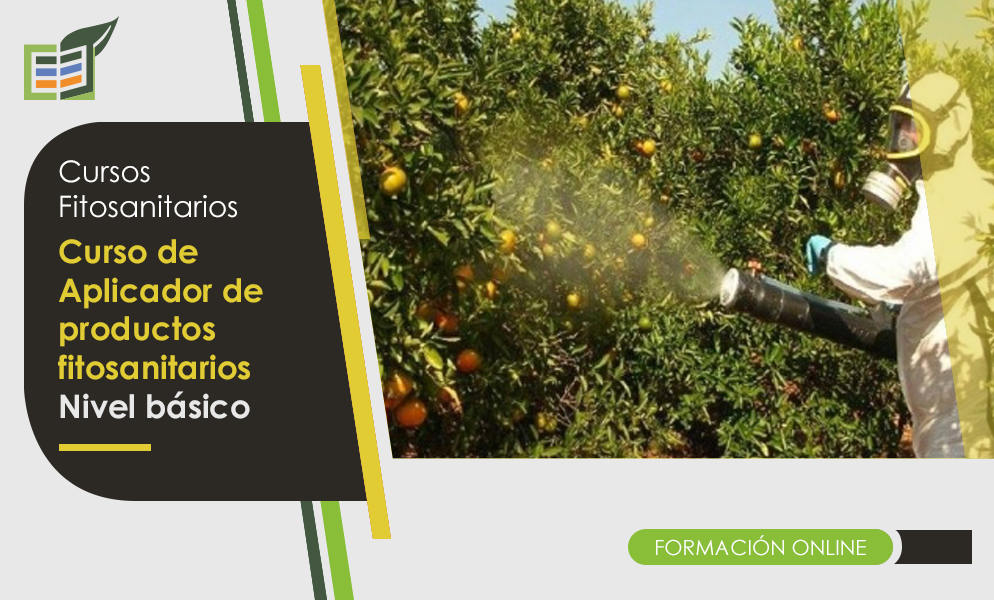 FORMACIN COMPLEMENTARIA