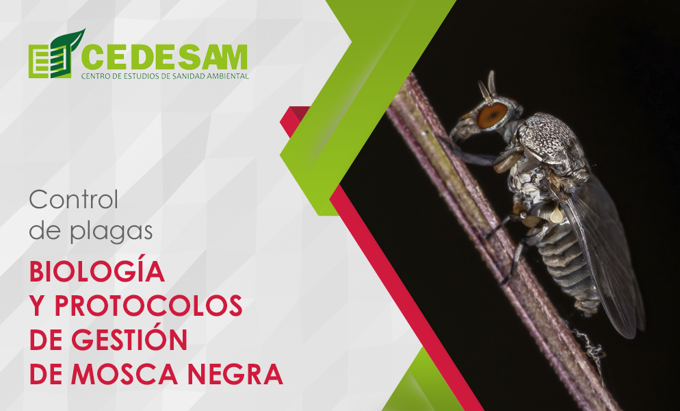 CURSOS DE CONTROL DE PLAGAS