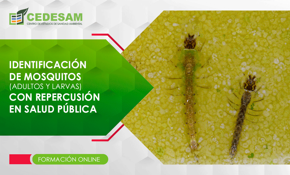 CURSOS DE CONTROL DE PLAGAS