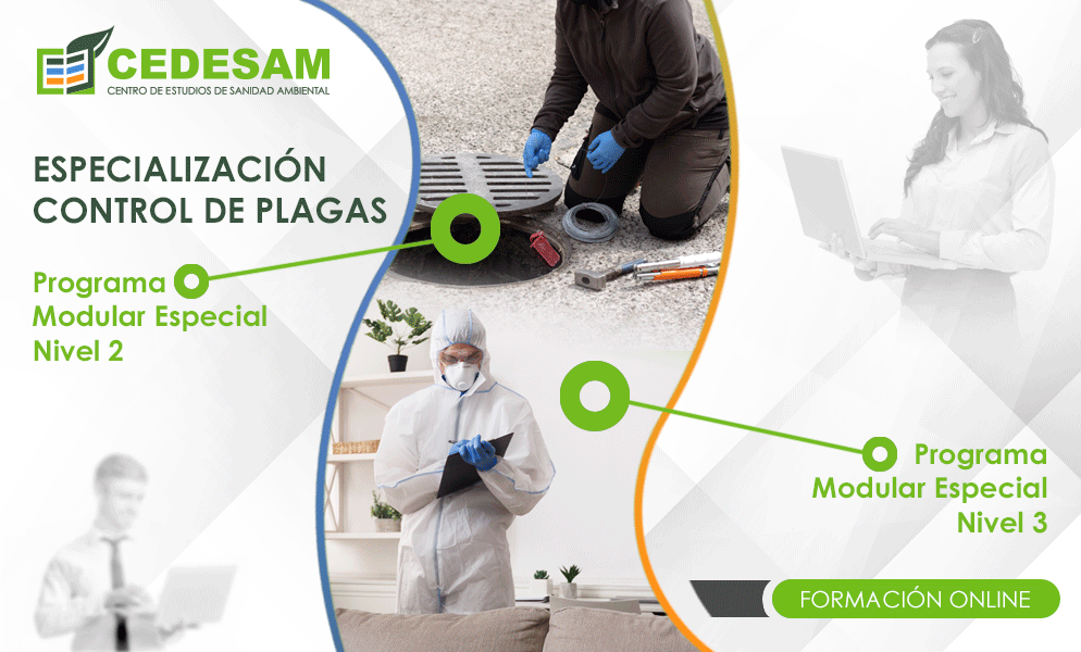 PROMOCIN VERANO 2023