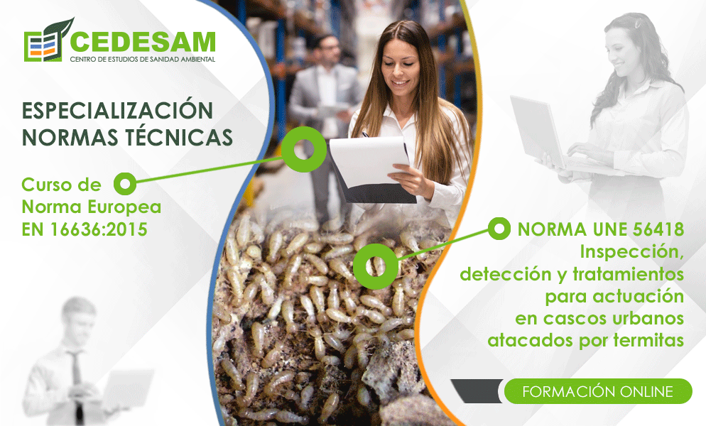 PROMOCIN VERANO 2023