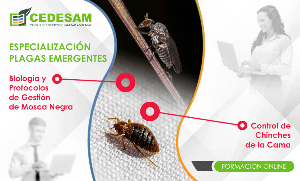 PROMOCIN VERANO 2023