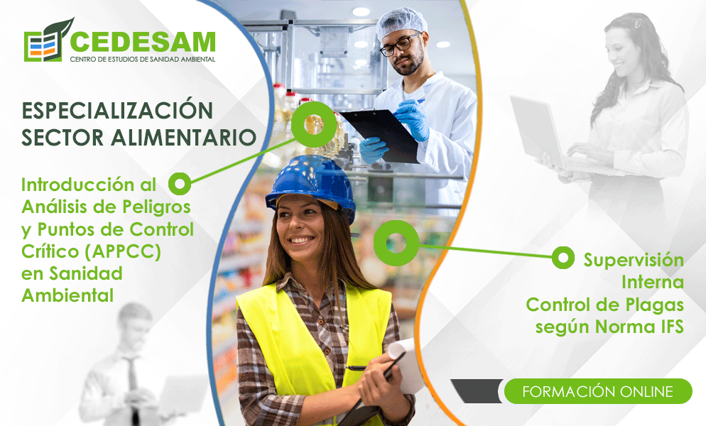 PROMOCIN VERANO 2023