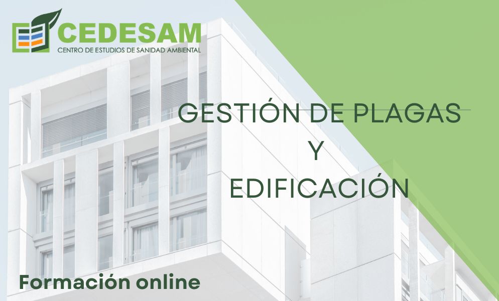 PROGRAMA DE VERANO