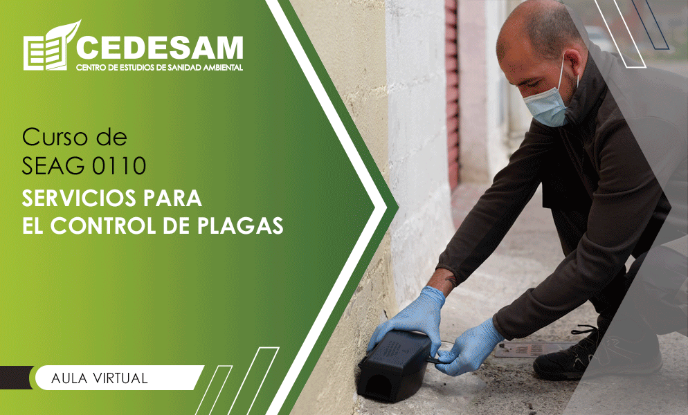 CERTIFICADOS PROFESIONALES