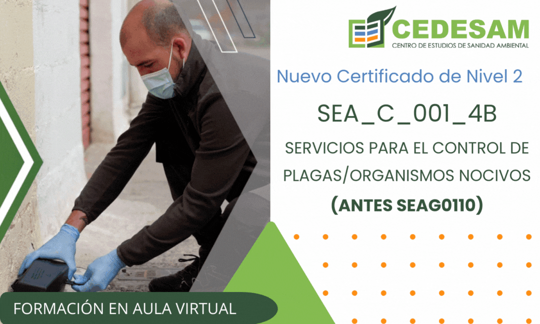 CERTIFICADOS PROFESIONALES