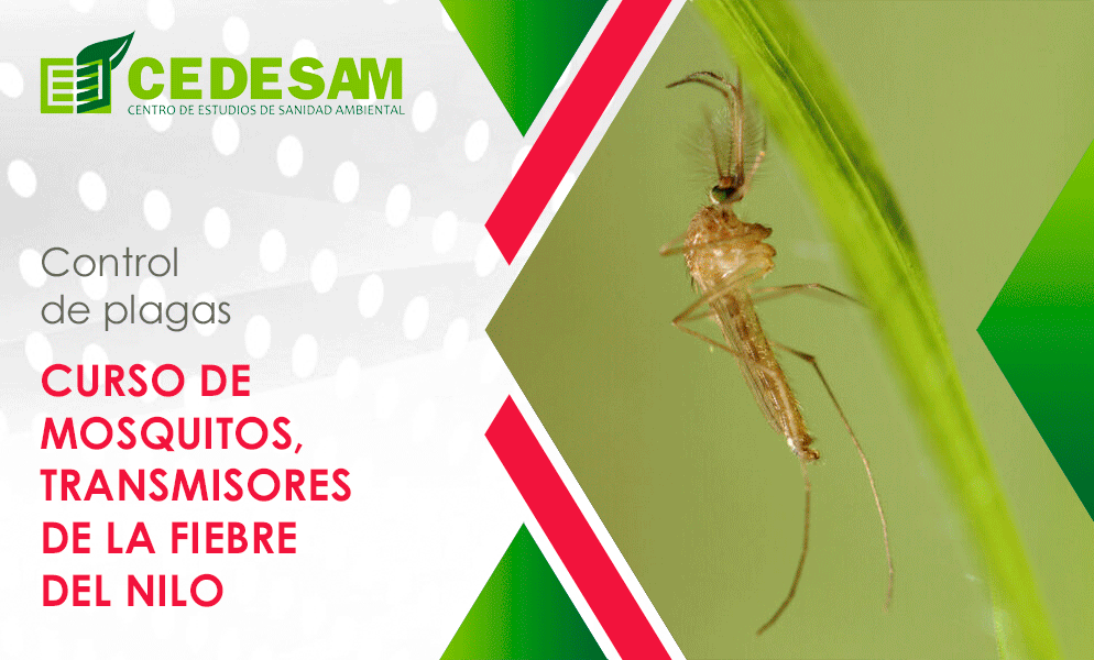 CURSOS DE CONTROL DE PLAGAS
