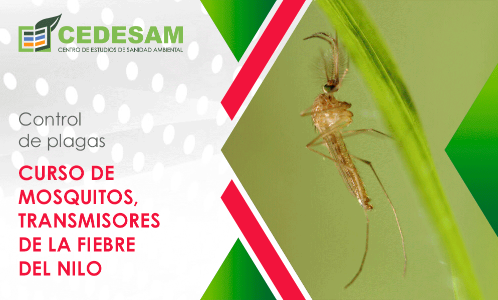 CURSOS DE CONTROL DE PLAGAS